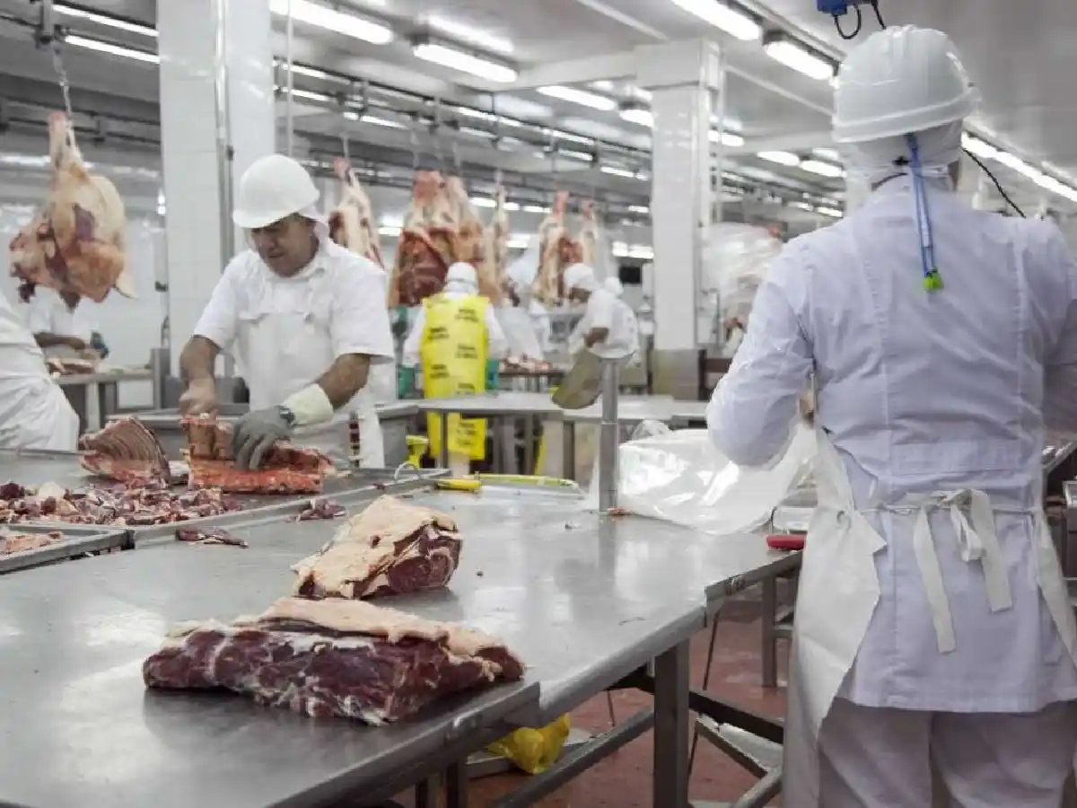 El Gobierno cedió y autorizó subas de precios en cortes populares de carne