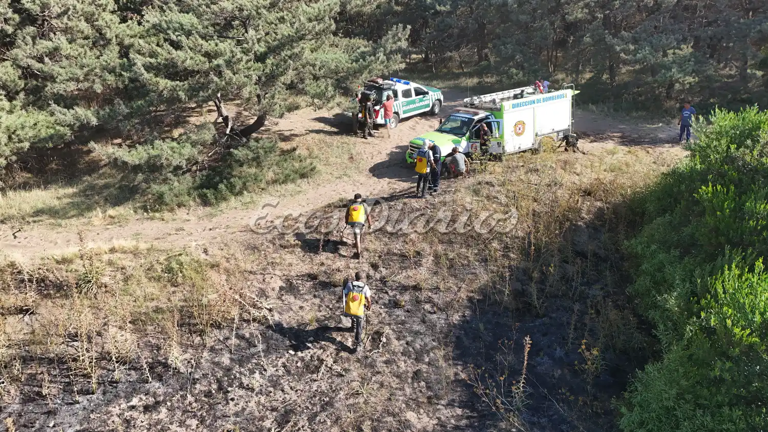 Incendio en un sector del parque