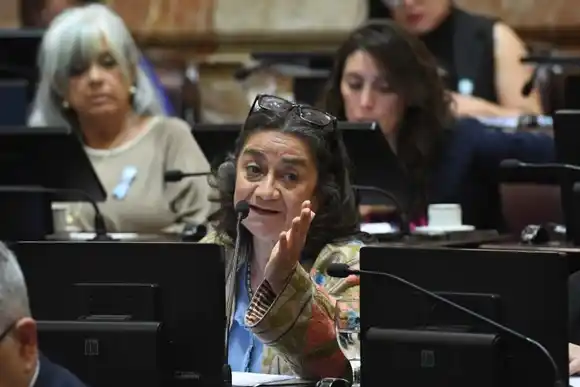 El Senado le dio la espalda a Milei y repuso la ley de ATN