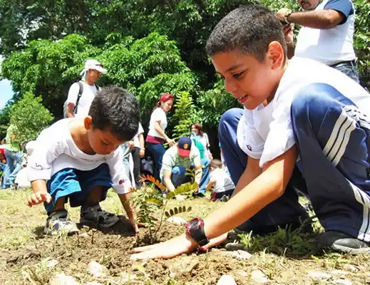 Realizarán una nueva capacitación sobre Educación Ambiental