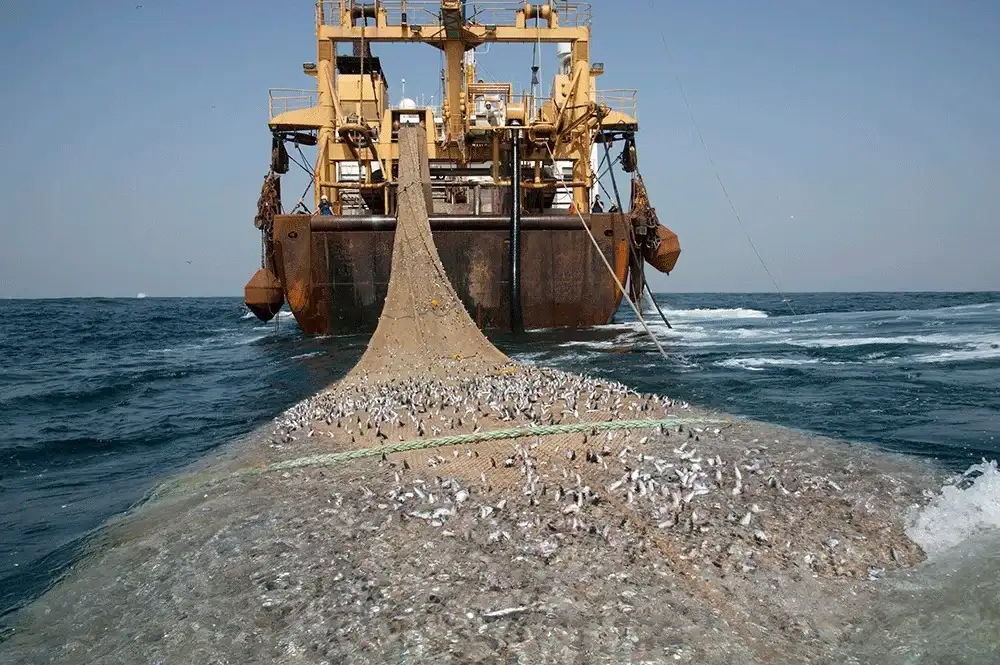El fallecimiento de tres pescadores en un mes aumenta la preocupación por la seguridad en alta mar