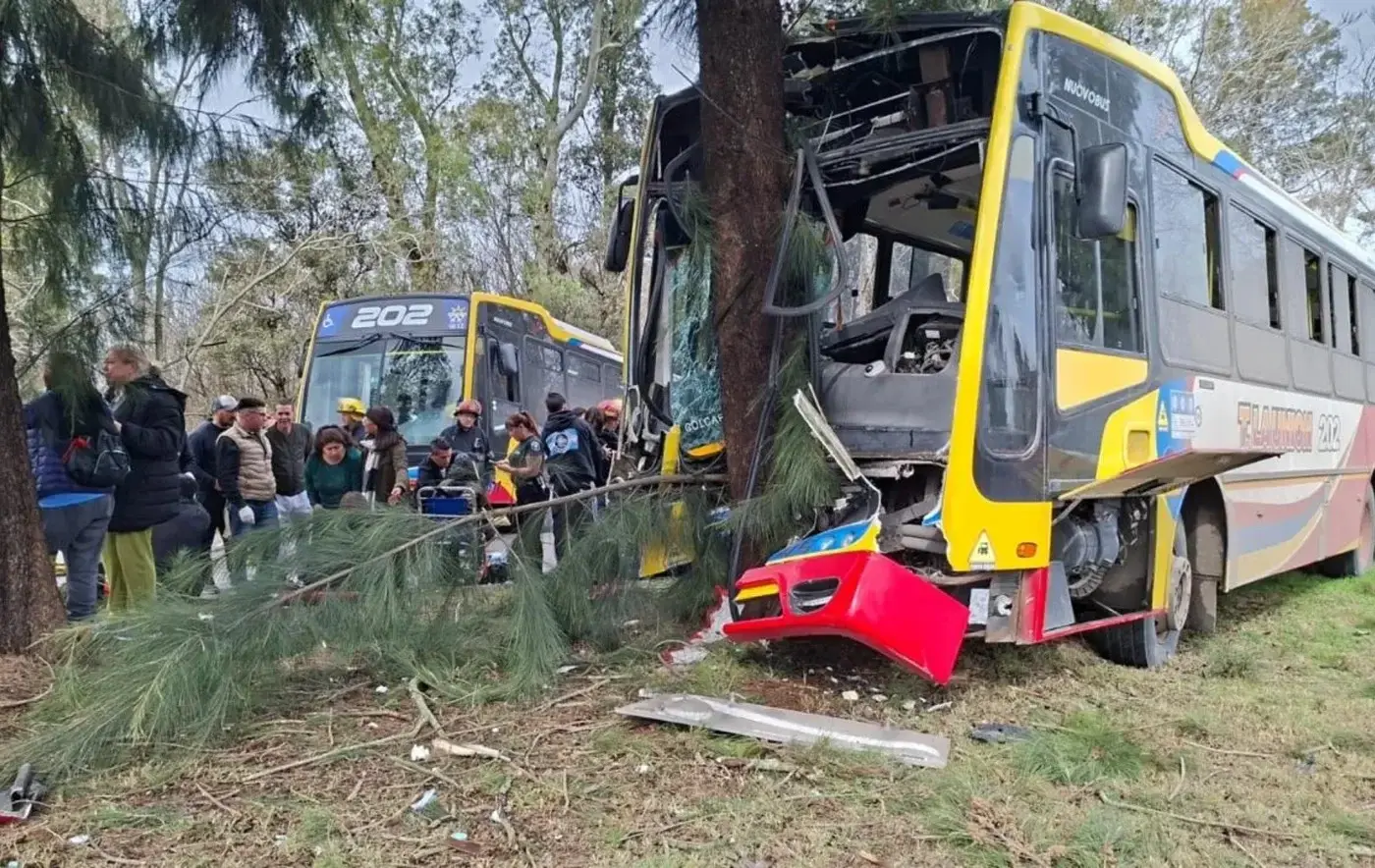 El colectivo de la Línea 202 terminó incrustado contra un árbol sobre la Avenida del Petróleo, en Berisso.