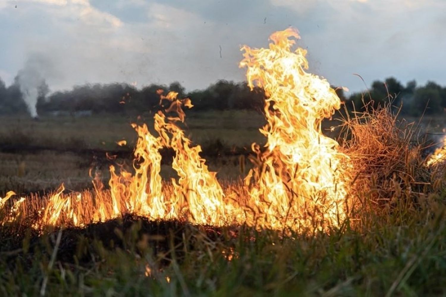 Recomendaciones para prevenir incendios rurales o forestales