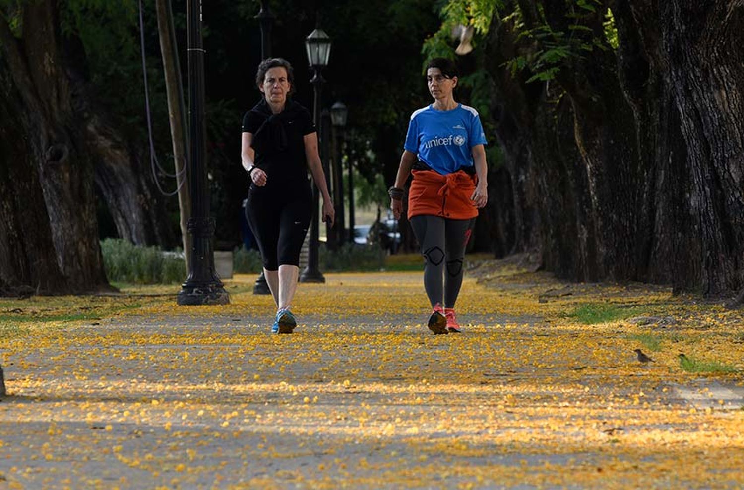 Domingo soleado pero con alerta por tormentas fuertes para la tarde noche