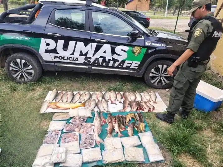 Todas las piezas secuestradas.