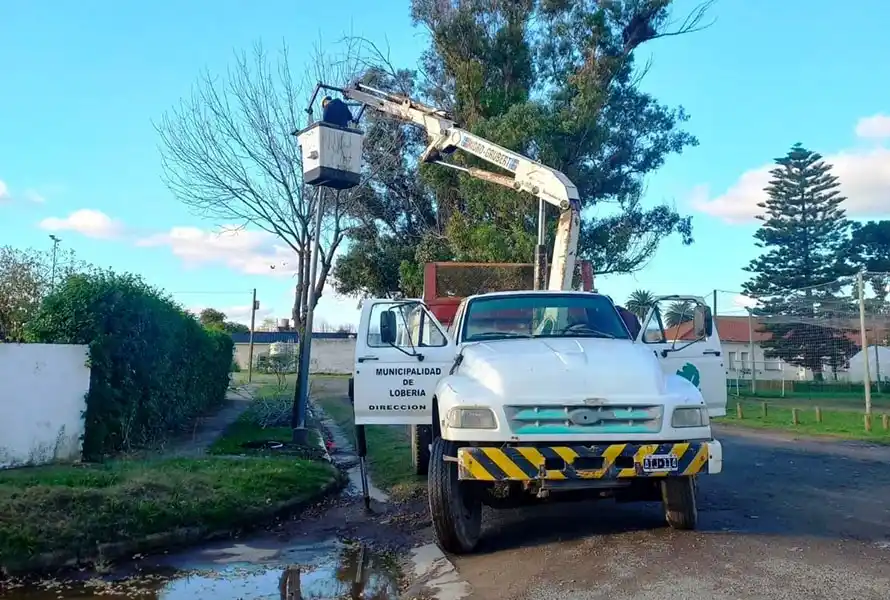 Obras en Lobería