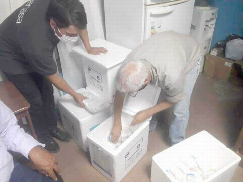 Fiebre aftosa: entrega de vacunas gratuitas para productores formoseños