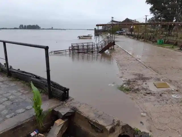 Raúl Paredes: "La situación no es alarmante, pero hay que estar prevenidos"