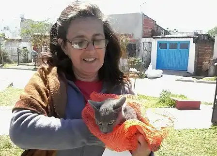 Se intervinieron más de 50 animales en una nueva jornada de vacunación