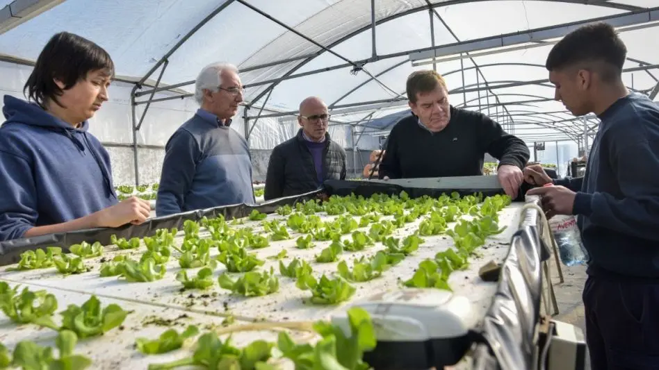 Hidroponia, una técnica de cultivo sin suelo desarrollada por la ESMET 