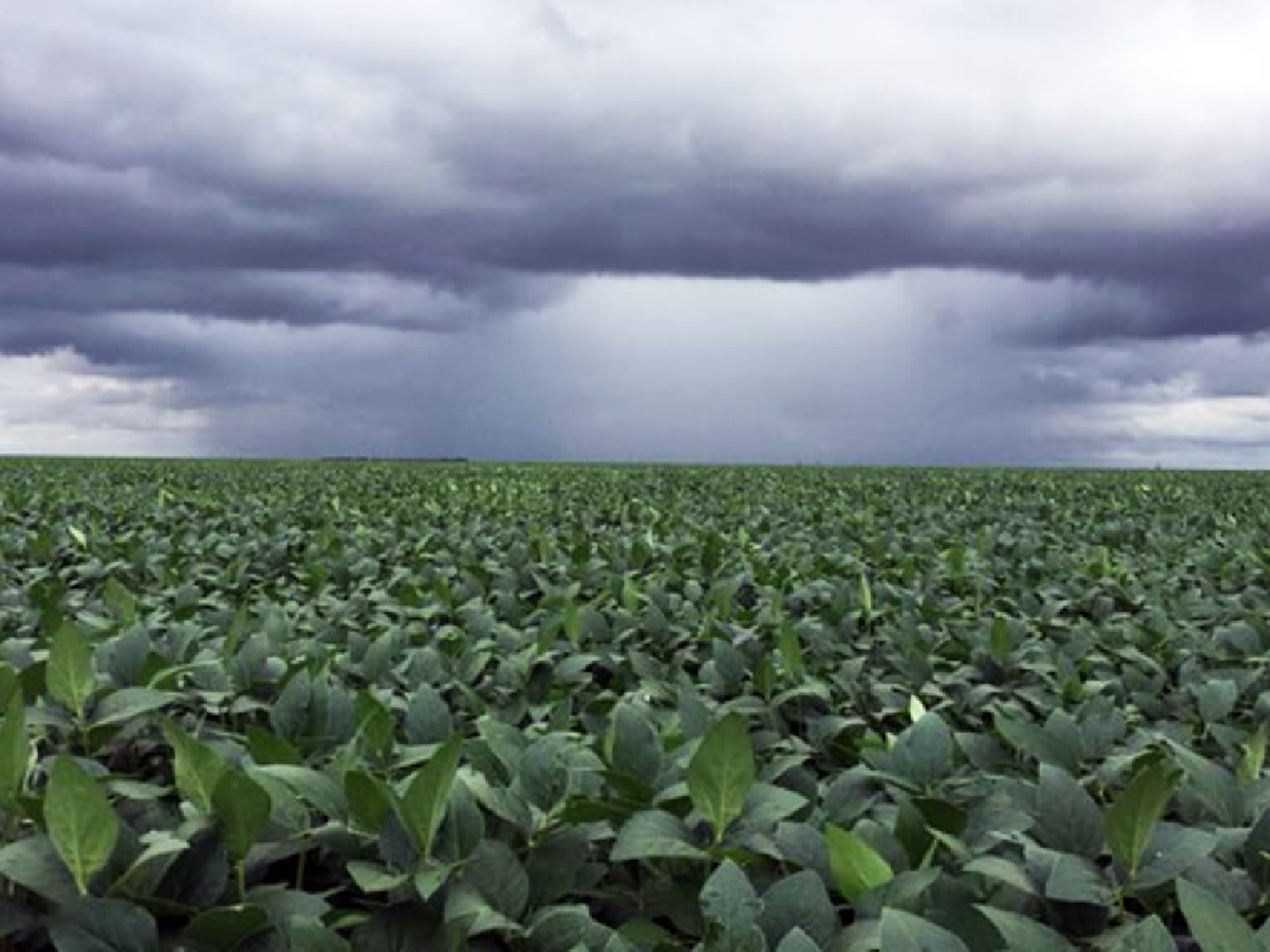 Lluvias mejoran las reservas en once provincias: Córdoba recibió la menor cantidad de agua