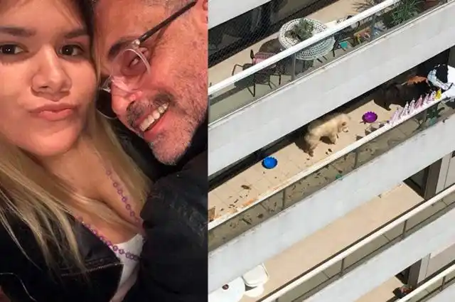 Acusan a Morena Rial de maltrato animal