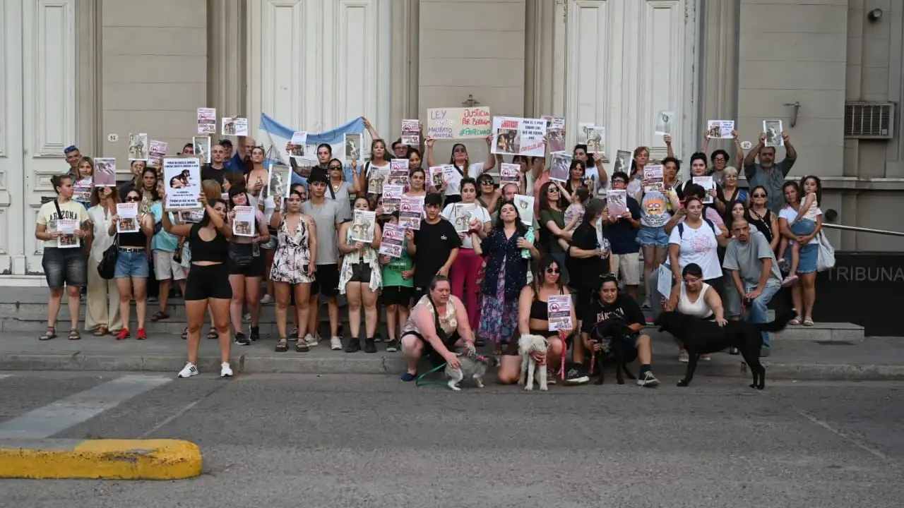 BERRUGON MARCHA - 8