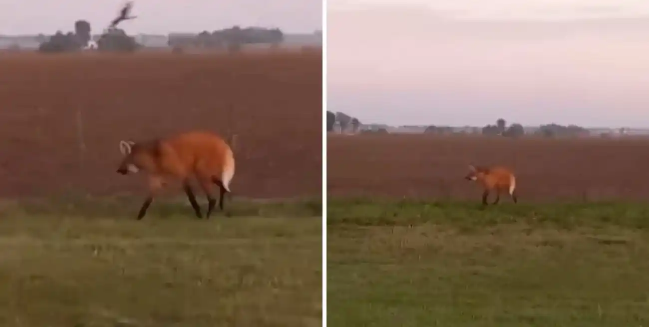 Las imágenes fueron tomadas por un efectivo policial que se dirigía a trabajar.