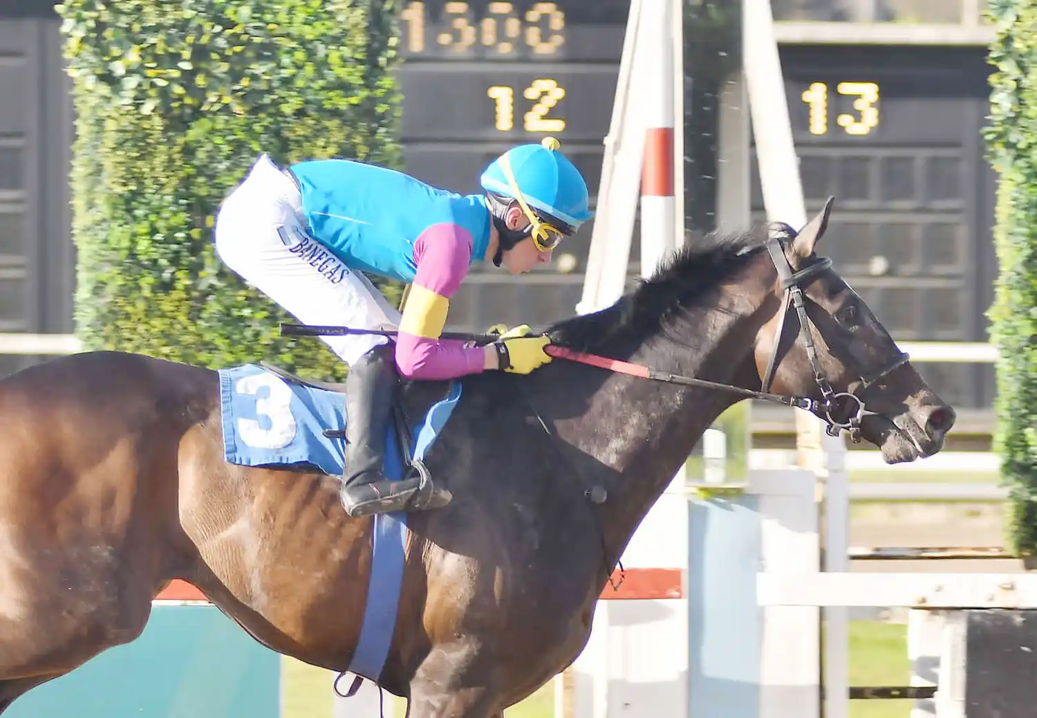 Fiesta Nacional en Palermo: se corre el Derby argentino