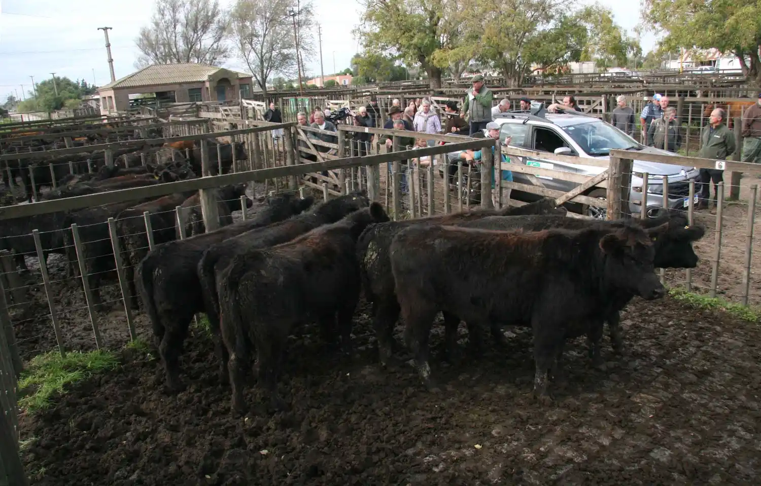Se viene el viernes de feria de Los Arzoz