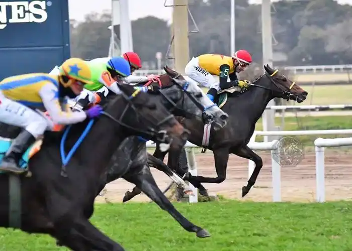 Viernes 23: Actividad Hipódromo de San Isidro