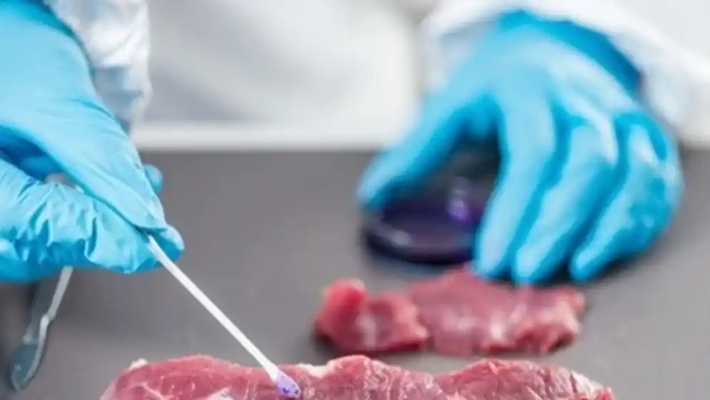 Confirman que en Santa Fe no se registran casos de infección de Salmonella o Shigella