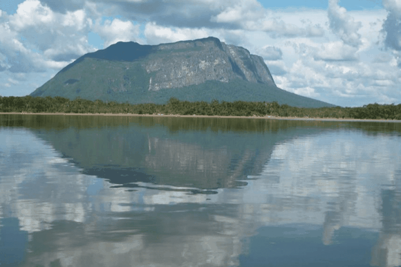 ¡ECOCIDIO EN EL AMAZONAS! Más de 700 hectáreas han sido deforestadas en el Parque Nacional Yapacana