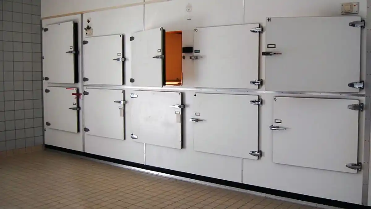 Encuentran vivo a un hombre que pasó la noche en el congelador de la morgue