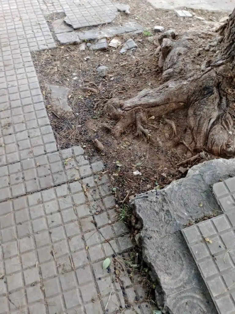 Veredas de San Pedro