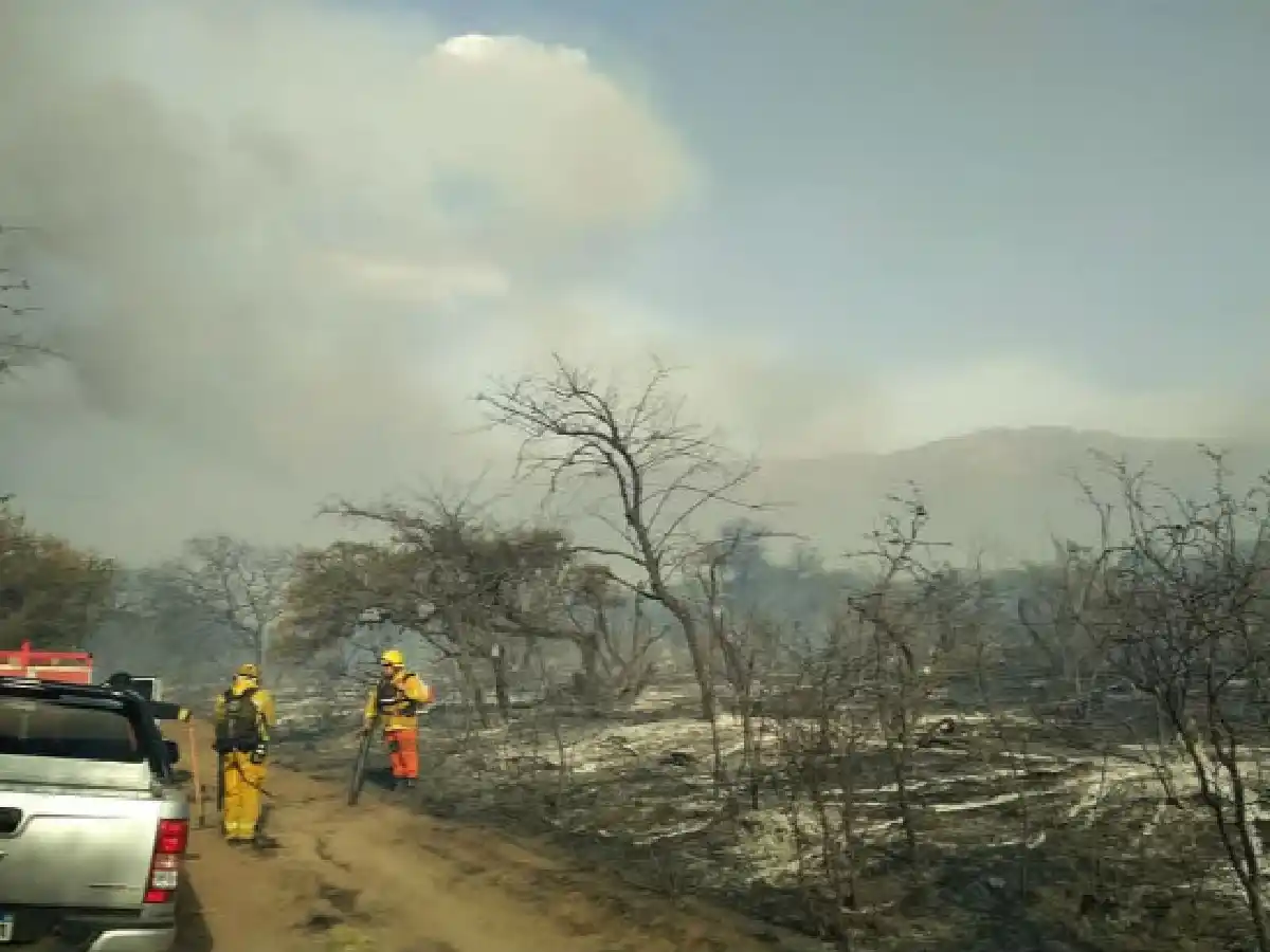 La Población: más de 100 bomberos trabajan en el incendio que sigue activo