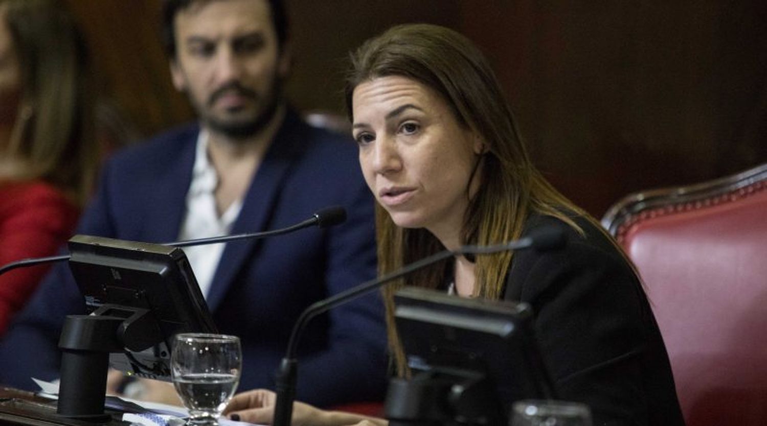 Coronavirus en la Legislatura bonaerense: La senadora Daniela Reich dio positivo 