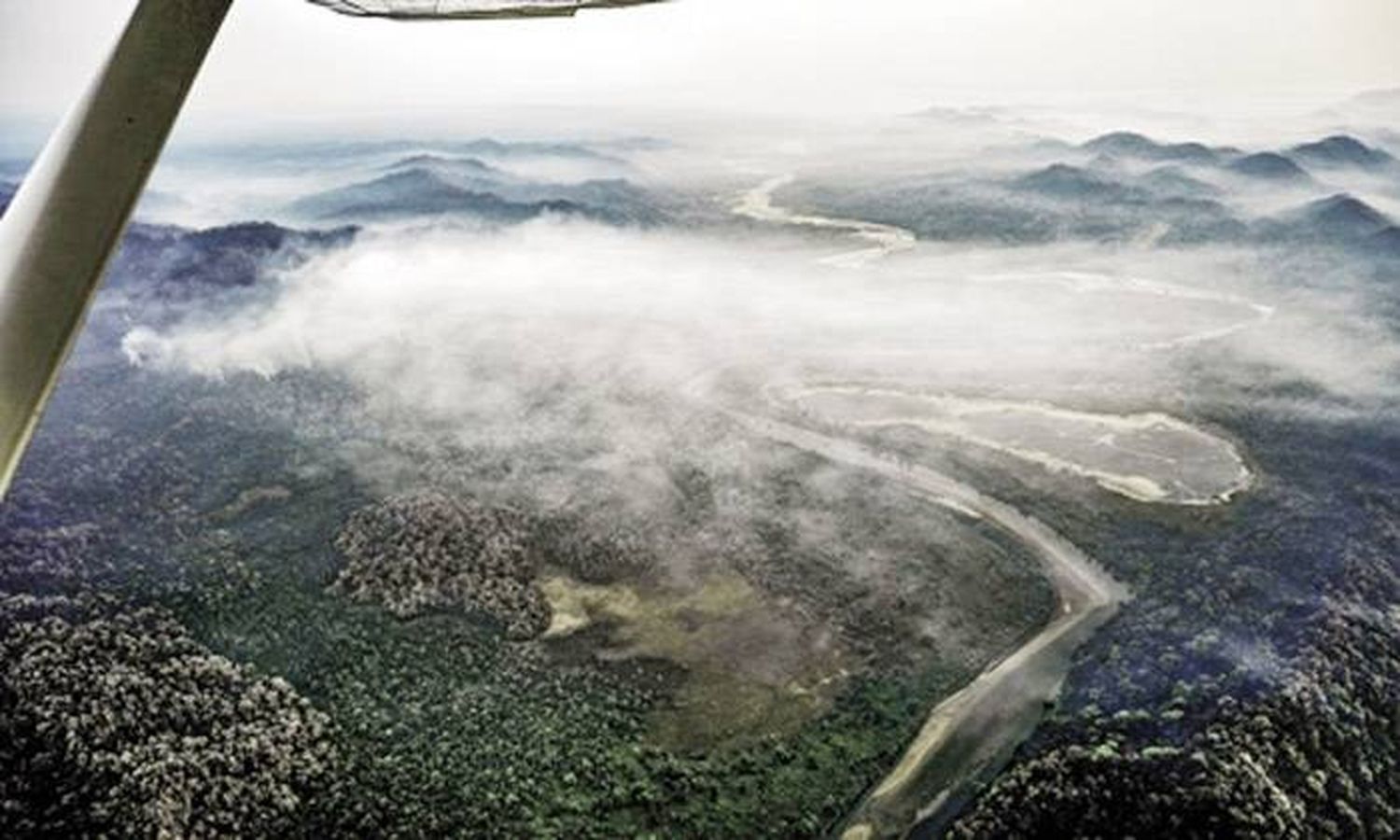 Salta perdió casi 200 mil hectáreas de bosque por el fuego