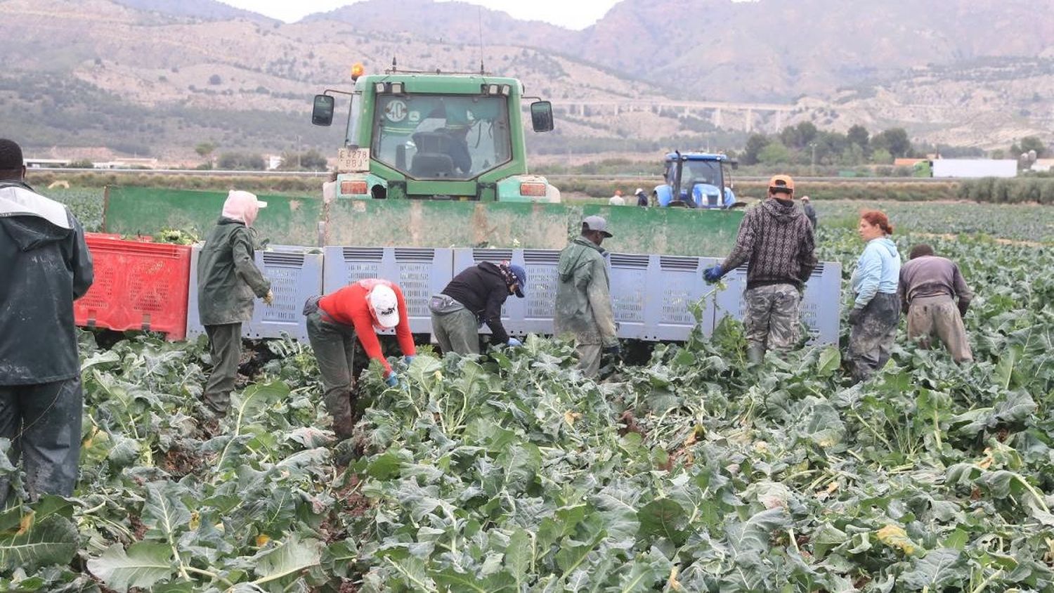 Por explotar a suramericanos piden cárcel y cierre de empresa española Terra Fecundis