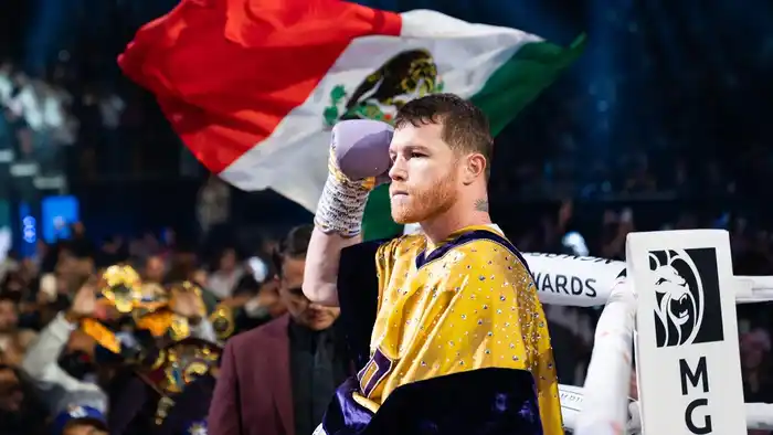 Canelo Álvarez-México - Interna 1