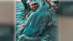 Pescaron un surubí de casi dos metros en el río Paraná