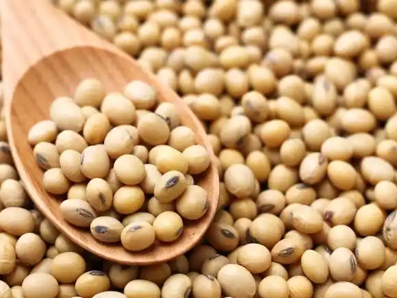 China va a comprar más soja en la Argentina y Uruguay