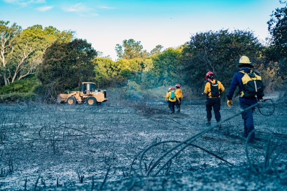 Se registraron más de 100 intervenciones por fuegos mal ubicados en Laguna de los Padres