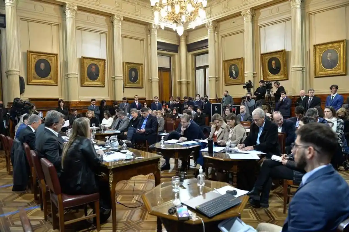 Comisiones del Senado dieron su aval unánime a la promoción industrial automotriz.