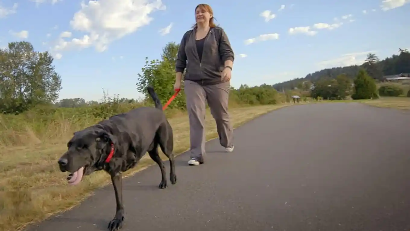 Un perro y su dueña aprenden a caminar juntos después de un accidente