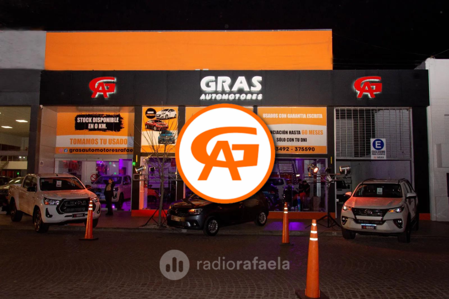 Todas las novedades del sector automotriz: "Hoy por hoy el Peugeot 208 es el vehículo más elegido por los argentinos"