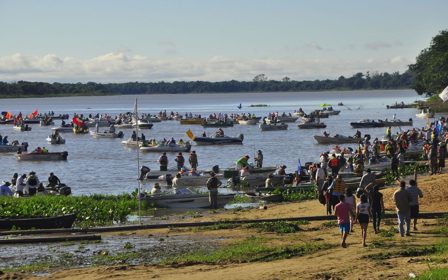 Fiesta de la Corvina: “Las fiestas populares son un eje importante del turismo"