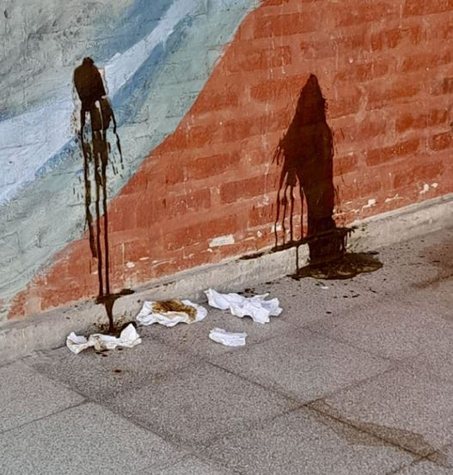Vandalizaron las instalaciones de la Escuela “Héroes de Malvinas”: defecaron en las paredes y rompieron un árbol