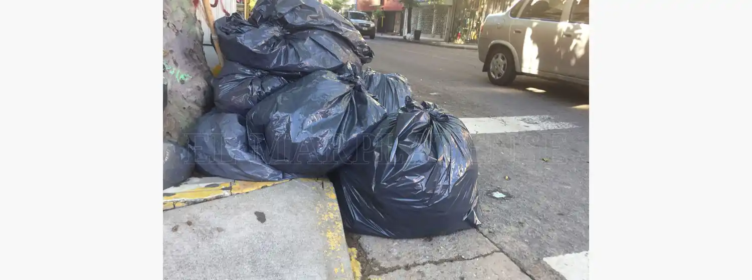 Mar del Plata sin recolección: "Esto se agrava más día a día"