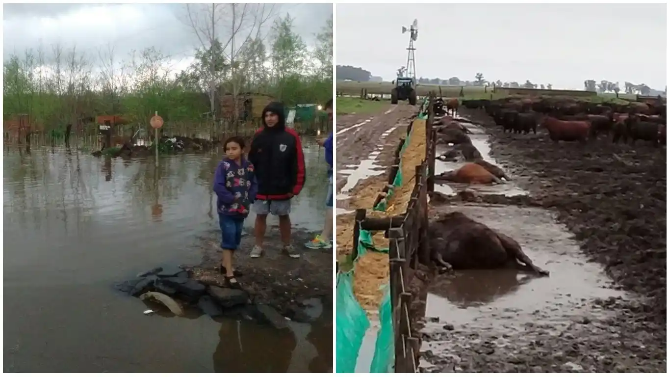 El "Irma" bonaerense: Las inundaciones dejaron la Provincia bajo el agua