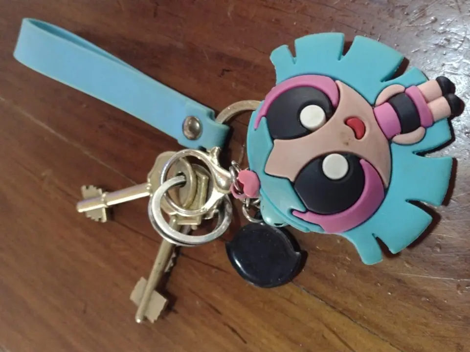 Ana encontró unas llaves