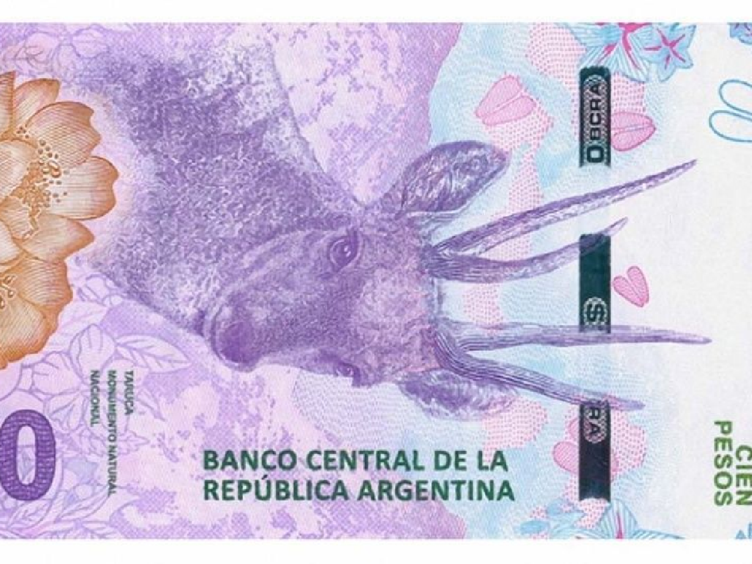 Cambios en los billetes: se van Evita y Roca, es el tiempo de la taruca