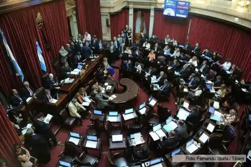 Media sanción del Senado al proyecto de reforma del sistema de inteligencia