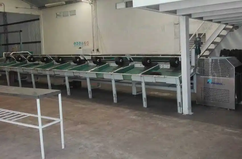 Desbarataron una banda por explotación laboral: hay 6 detenidos
