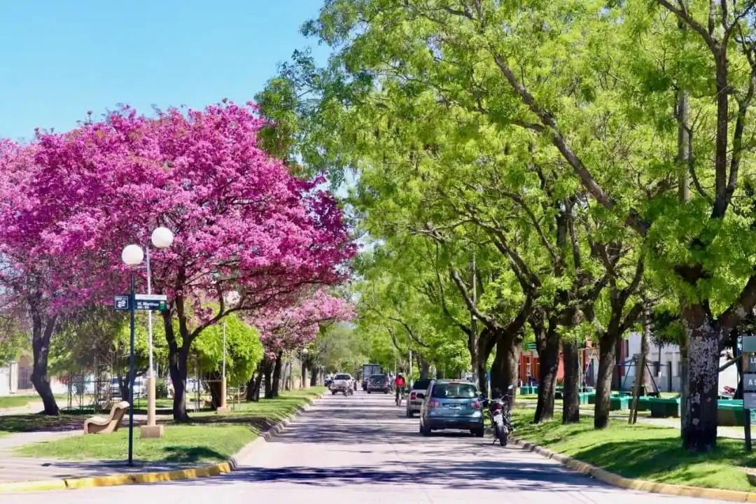 Carmen de Areco