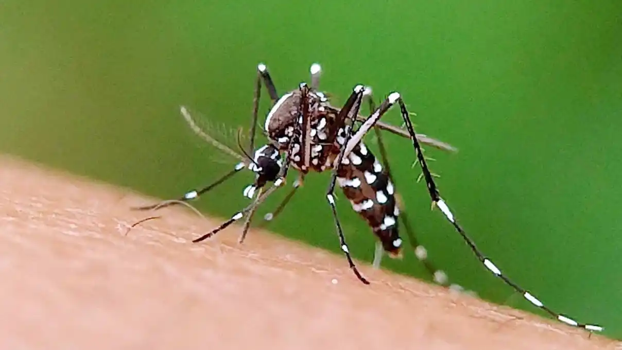 Entre Ríos bajó la barrera de los 1.000 casos semanales