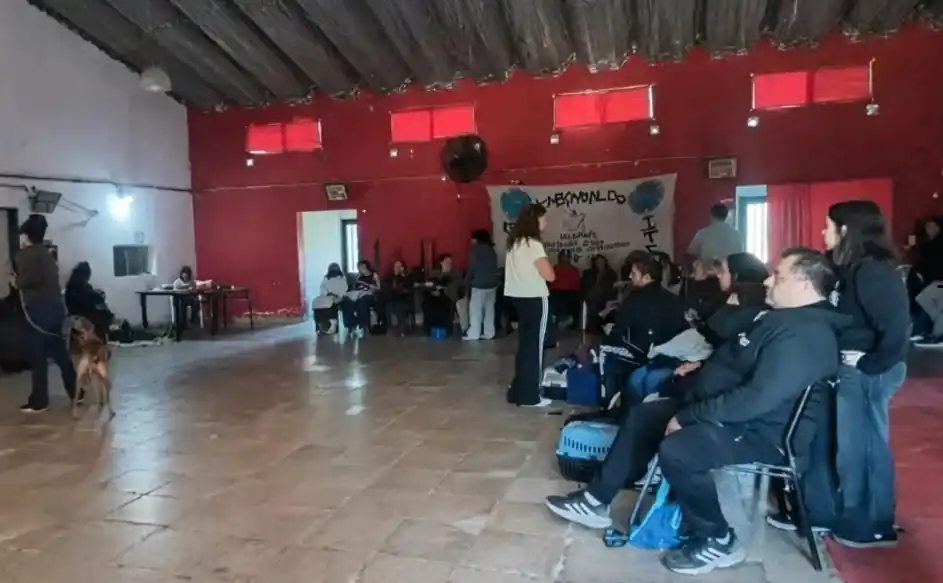Mascotas: lanzan un nuevo operativo de castración a bajo costo en el barrio Gallo Blanco