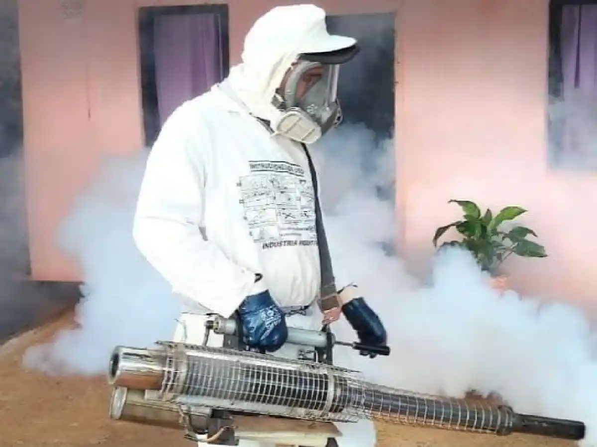Récord histórico de muertes por dengue en el país: ya son 32 en ocho provincias