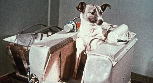 Laika 63 años de su triste historia