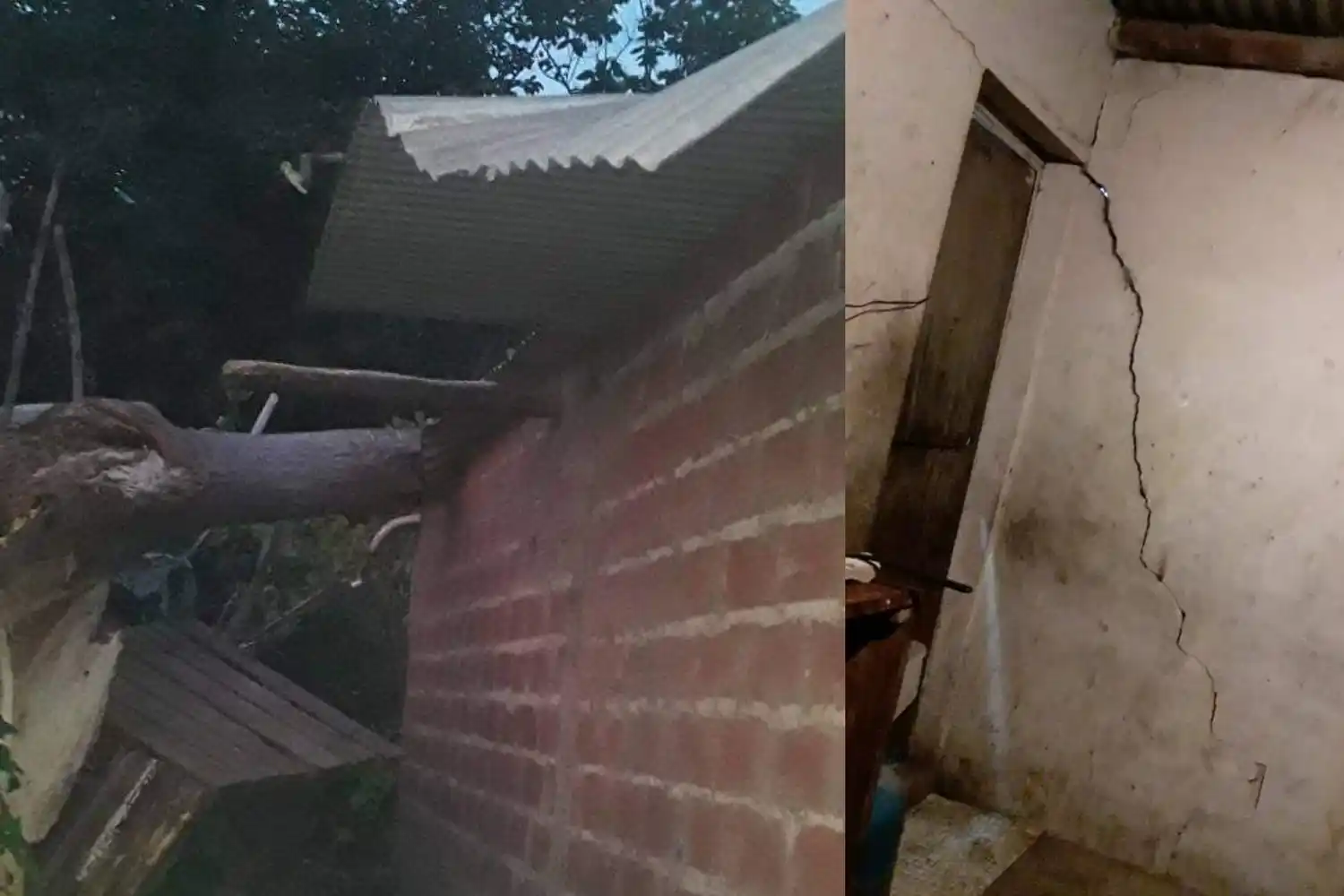 Temporal: cayó un árbol sobre una casa en Bajo Cementerio